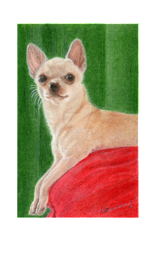 George Buttons by Billberry on DeviantArt