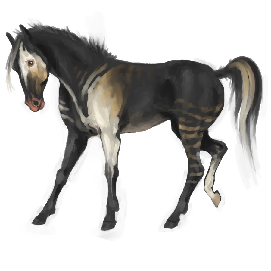 some horse