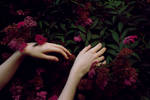 First year without you by czas