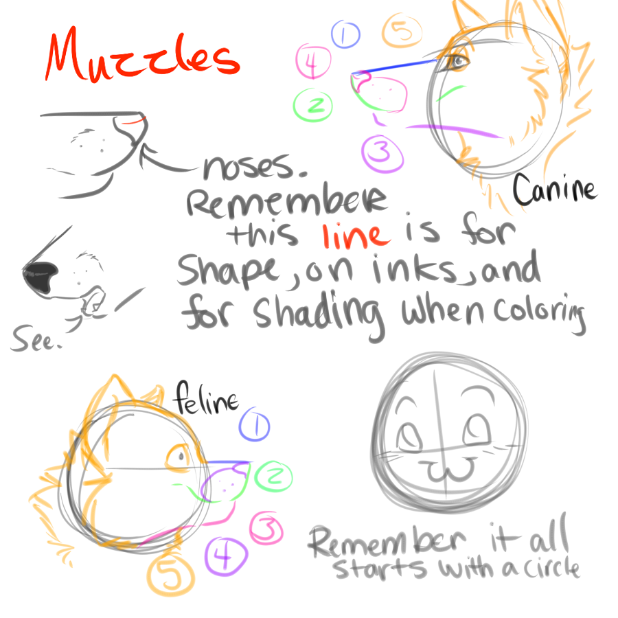 Muzzle Draw Muzzle Tutorial by DVC-Church on DeviantArt
