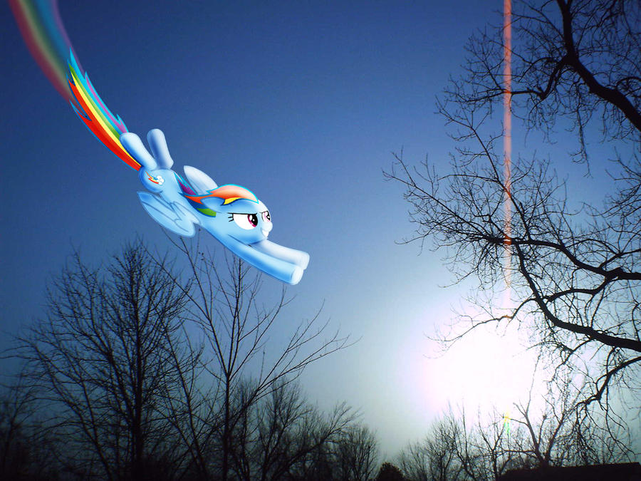 Fly Brainbow Fly, Rainbow by Uncharted-Reality on DeviantArt
