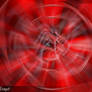 Red Warp