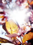 Colors of nature by MayaVogrin