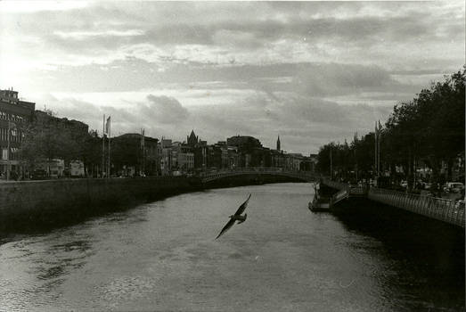 The Liffey