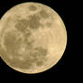 I Love Full MOON