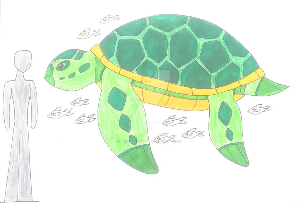 Sea turtle by JousimusPrime on DeviantArt