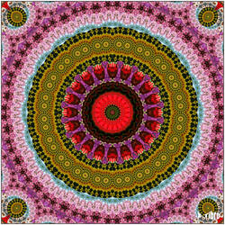 Mandala Goes Crazy