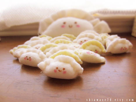 Adorable Dumplings