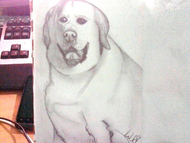 Fat Lab by DatMagicalMidget on DeviantArt