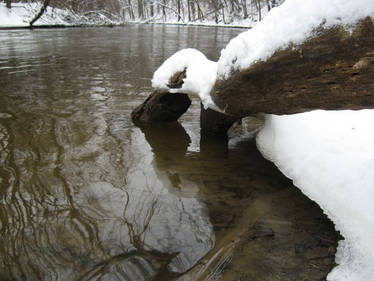 On the Bank