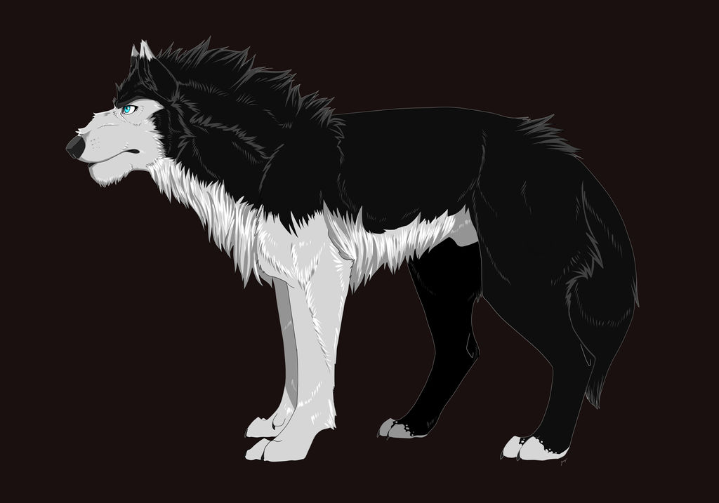 Vestille (FH Wolf)