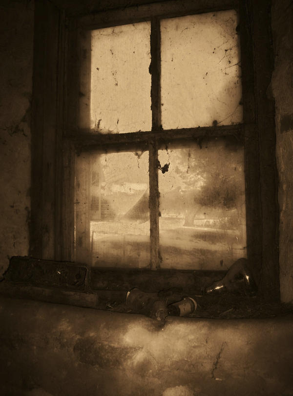 Disgusting Window Dirty Window by HiddenShadowWalker on DeviantArt