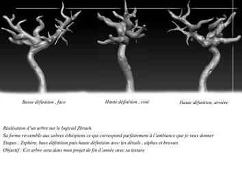 Arbre Zbrush Brief2