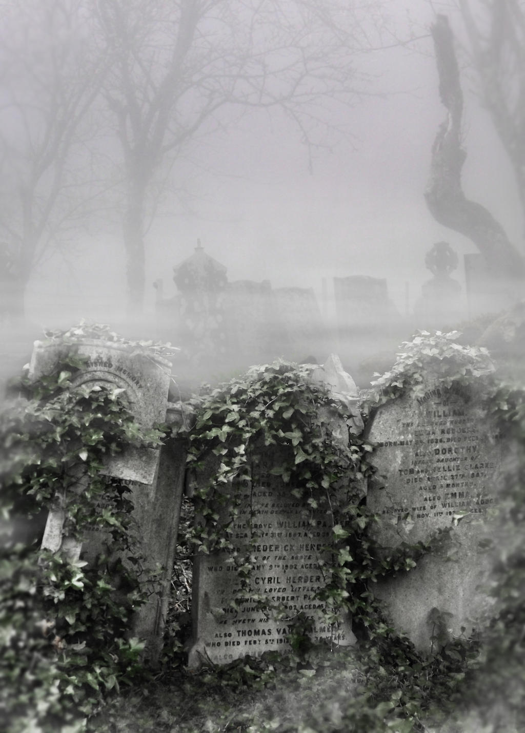 Premade Background 004 by FP-Stock