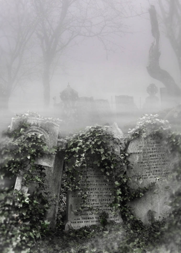 Premade Background 004 by FP-Stock