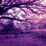 Premade Background 011