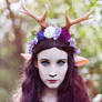 Faun