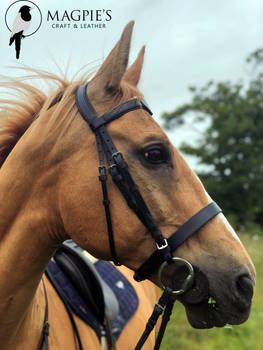 Custom leather harry potter themed bridle 5