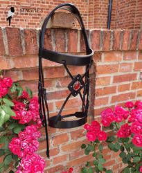 Anatomical Bridle with a red ruby stone fantasy 2