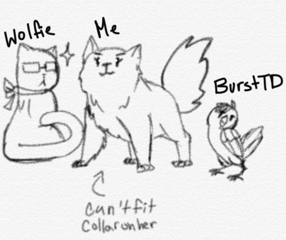 Us as Domesticated Animals by EmeraldKittyGurl13 on DeviantArt