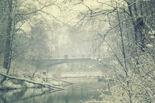 Winter Brigde