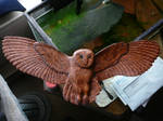 Lacewood snow owl by KPLine