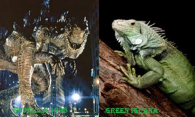 Totally Look Alike Godzilla and Iguana