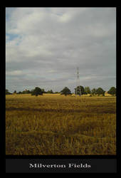 Milverton Fields