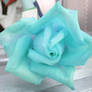 Blue rose