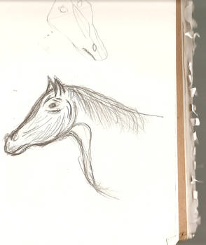 Horse Sketch