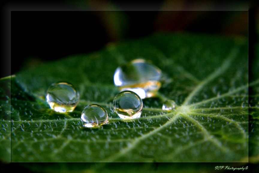 Crystal Orbs