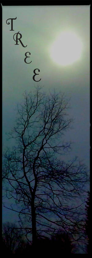 tree and moon