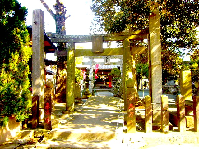 torii002