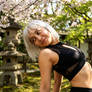 Japanese Nature