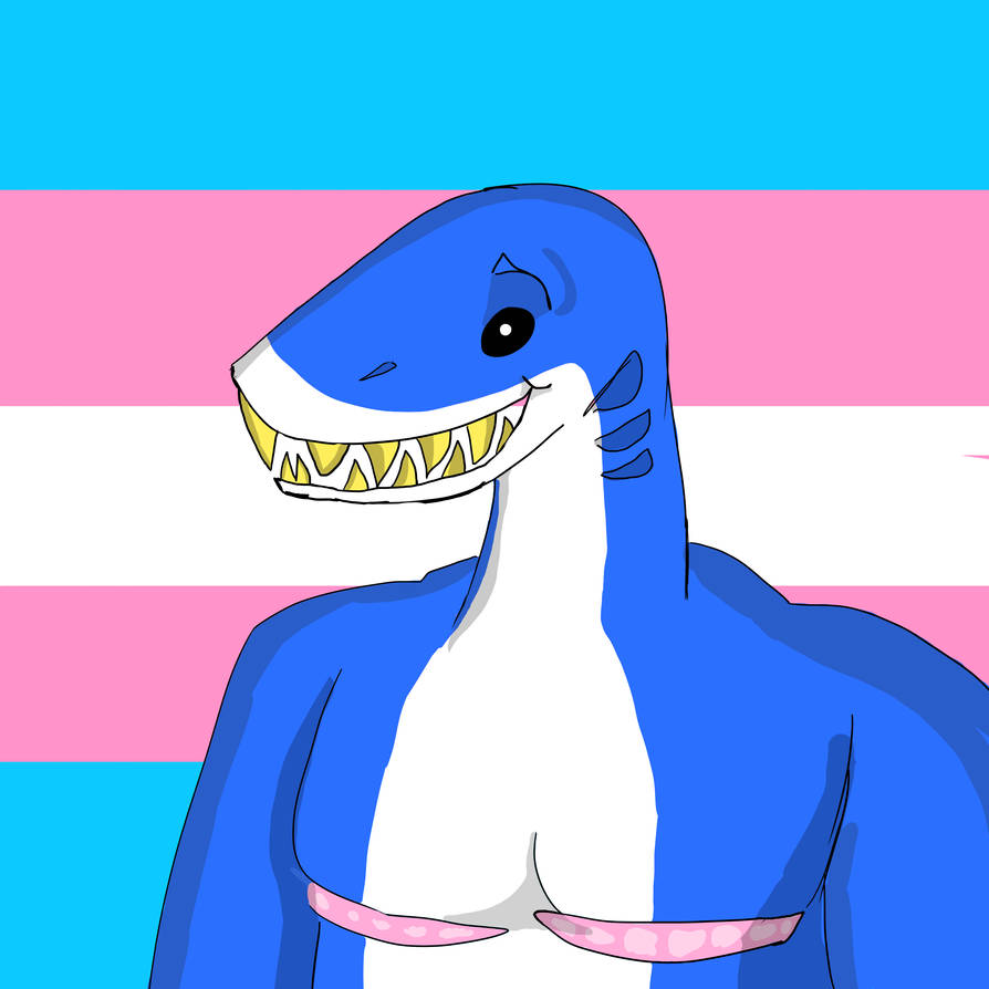 Blahaj A Trans Icon By PuppetBoy55 On DeviantArt is-mean-girls-on-netflix-2025-alexander-a-demaine