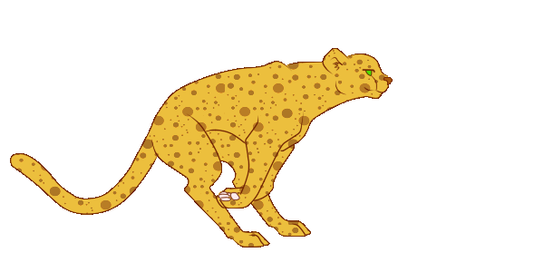 Running Cheetah Animated Gif