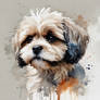 Shih-Poo Dog