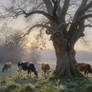 Morning Light