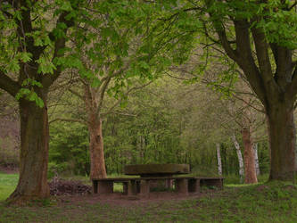 Meeting Place In The Green