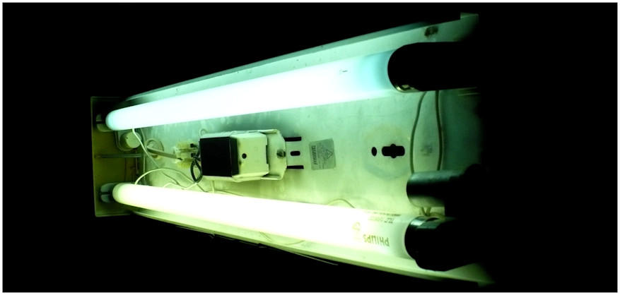 Dissection by Reelo21 on DeviantArt