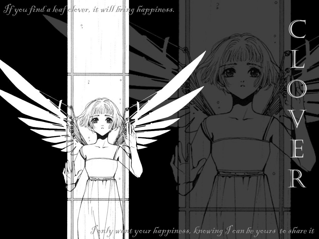 Wallpaper Clover Clamp By Suichi Ameria On Deviantart Wallpaper Clover Clamp By Suichi Ameria On Deviantart