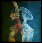 Gemini by E-X-O-G-E-N