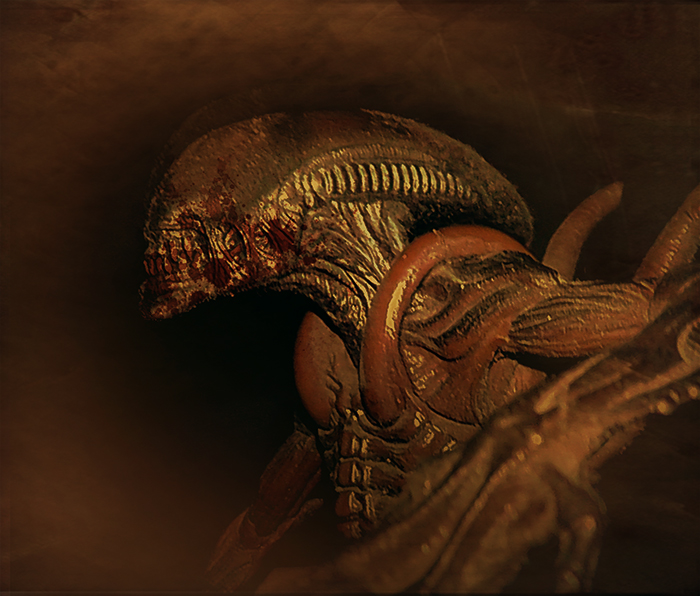 Xenomorph