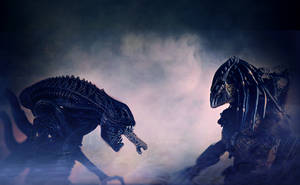 Alien vs. Predator