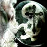 Fetal Brainwash