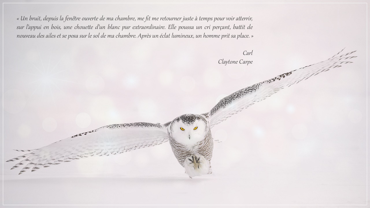 Citation De Carl By Claytonecarpe On Deviantart Citation De Carl By Claytonecarpe On Deviantart