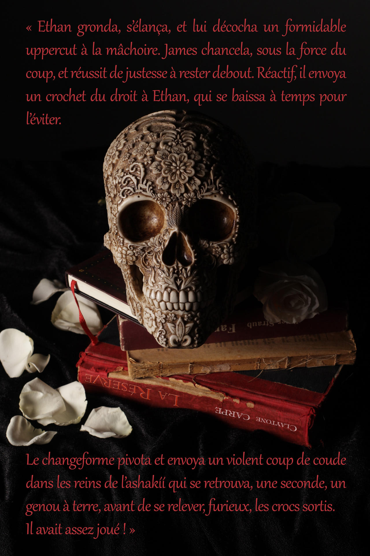 Courte Citation De La Reserve By Claytonecarpe On Deviantart Courte Citation De La Reserve By Claytonecarpe On Deviantart