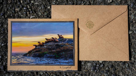 Rustic Handcrafted Sea Lion Jump Card
