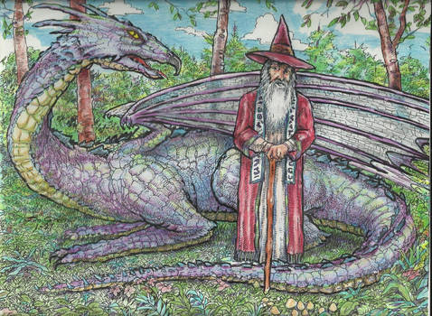 Wizard and his dragon