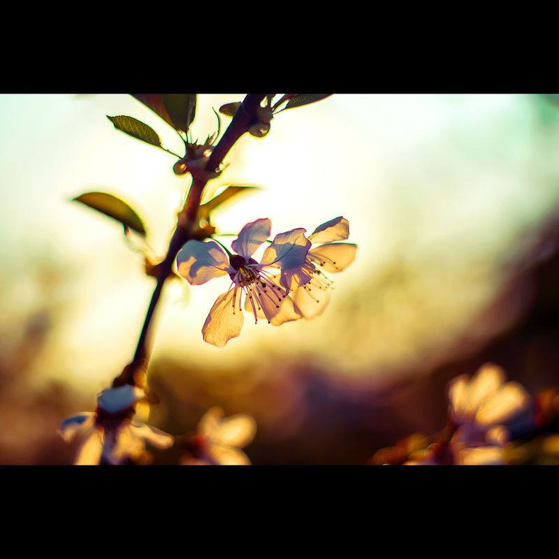There's So Many Colors by ifsantag There's So Many Colors by ifsantag